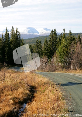 Image of Country road