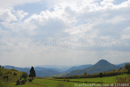 Image of Field and sky