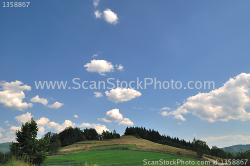 Image of Field and sky