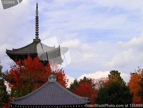 Image of Roofs