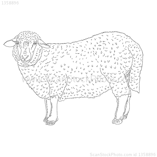 Image of sheep painted by hand 