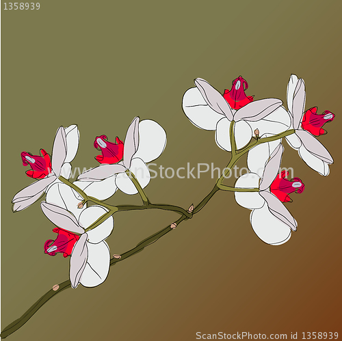 Image of twig blossoming orchids on a background