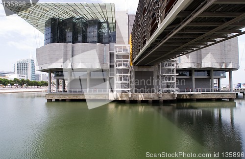 Image of Oceanario de Lisboa