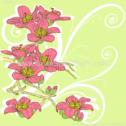 Image of tender twig blossoming orchids on a light background 