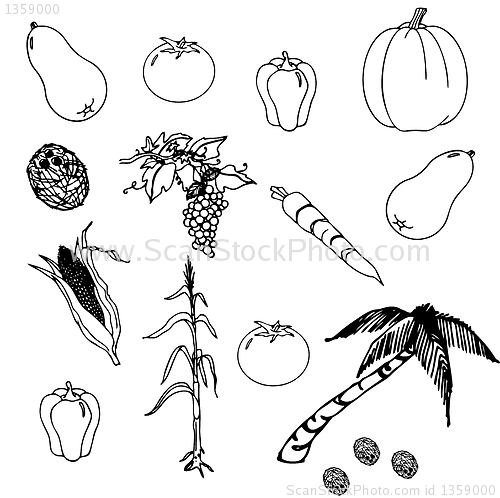 Image of Vegetables set in the vector