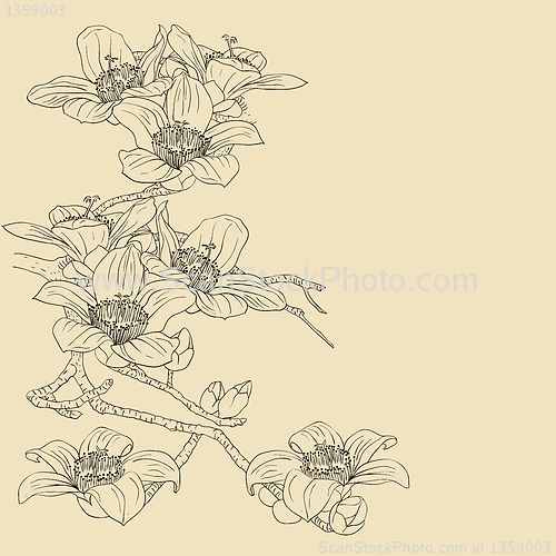 Image of tender twig blossoming orchids on a light background 