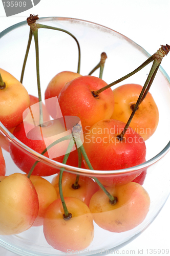 Image of rainier cherries