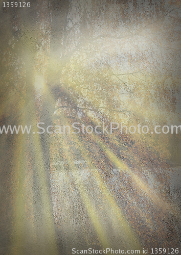 Image of Sunny autumn background 