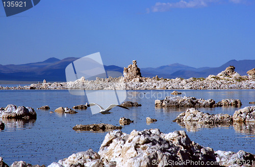 Image of Mono Lake, California