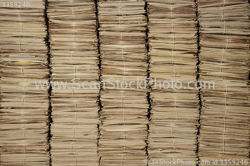 Image of Piles of newspapers to be recycled