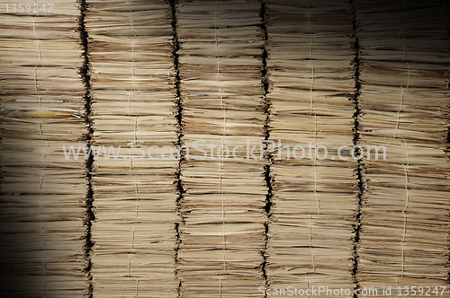 Image of Piles of newspapers to be recycled lit diagonally