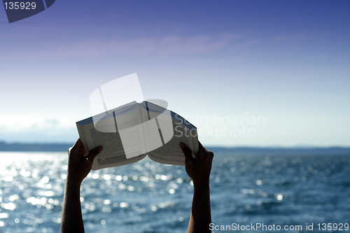 Image of Reading on the beach