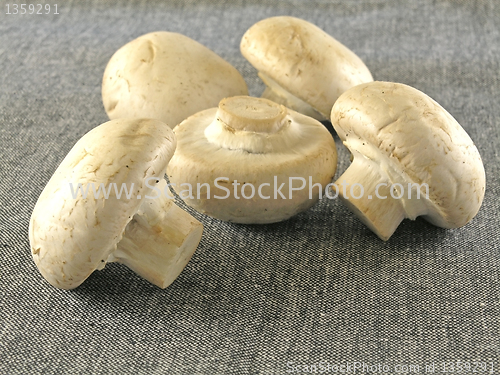 Image of fresh champignon 