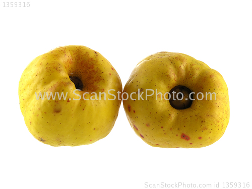 Image of quince