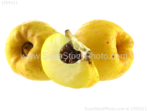 Image of quince