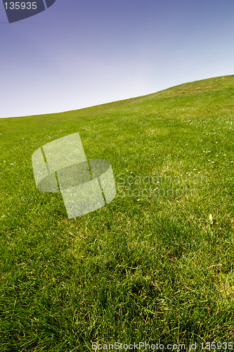 Image of Blue sky and grass