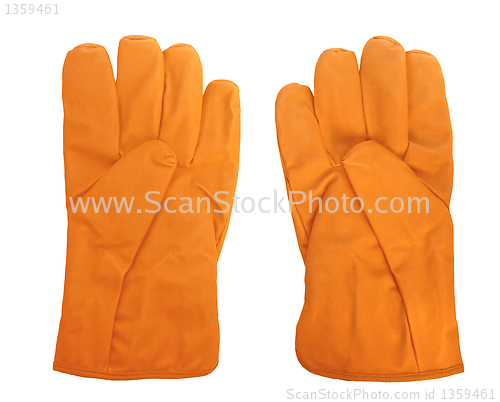 Image of Gloves picture