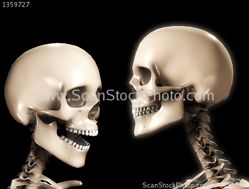 Image of Two Skull Heads 