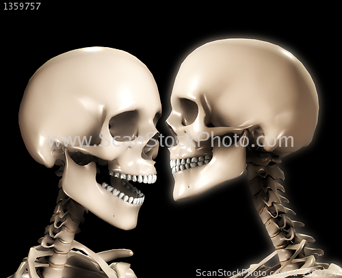 Image of Two Skull Heads 