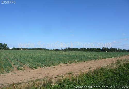 Image of Farming Landscape