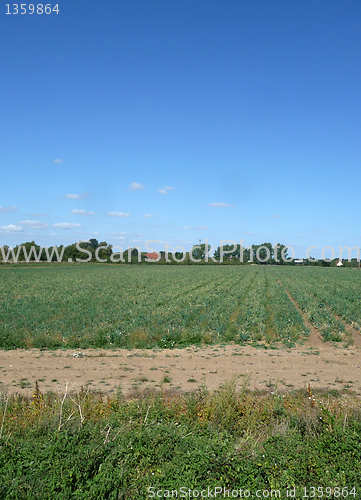 Image of Farming Landscape