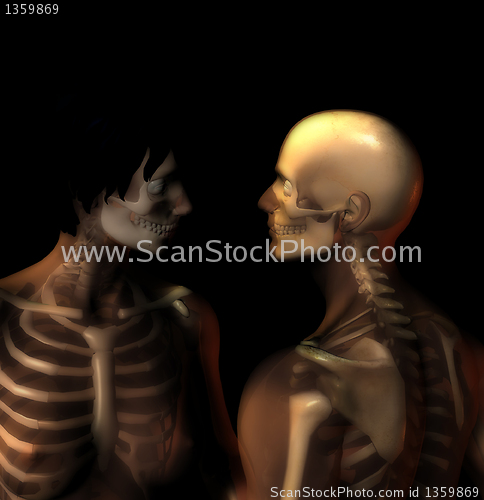 Image of Bone Couple 
