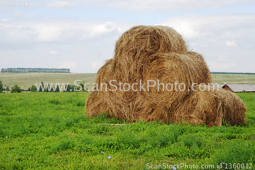 Image of straw bales on farmland 