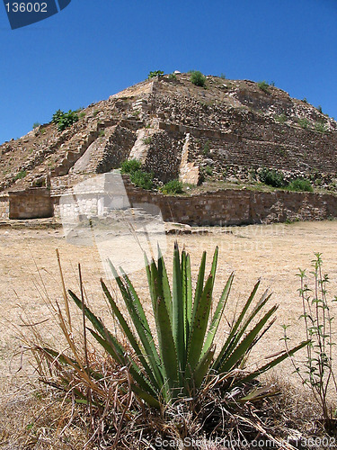 Image of Monte Alban