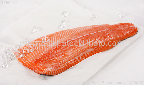 Image of fresh raw salmon fillet