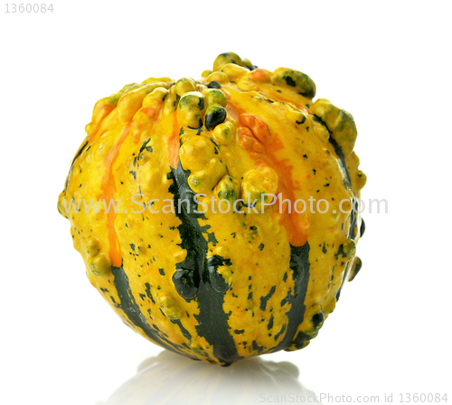 Image of Mini Pumpkin