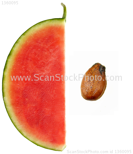 Image of Cross section of watermelon 