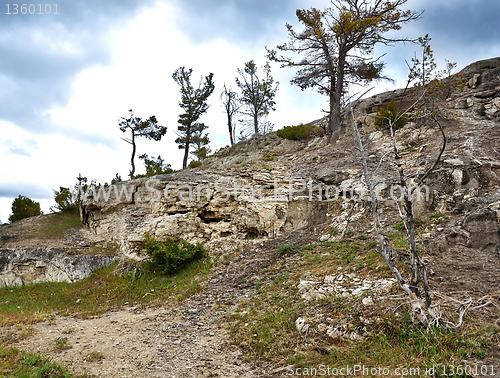 Image of rocks and trees