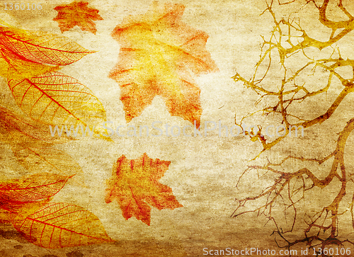 Image of grunge abstract fall background