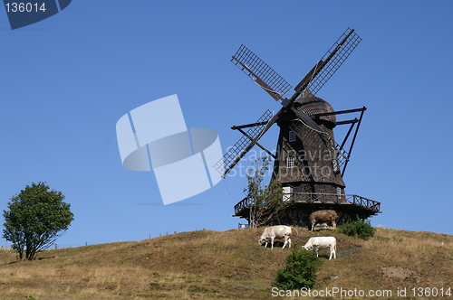 Image of 