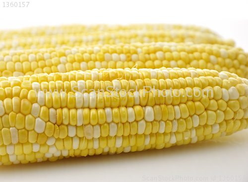 Image of Ears of corn