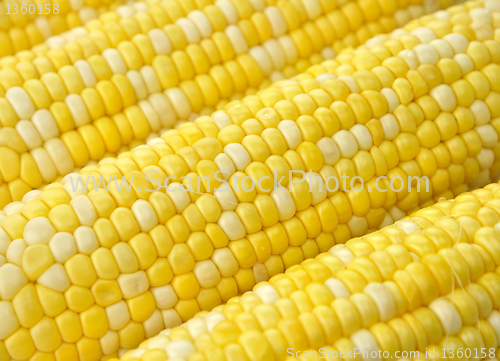 Image of Ears of corn