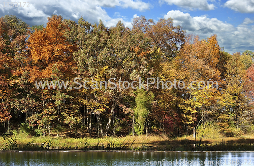 Image of autumn forest by the lake