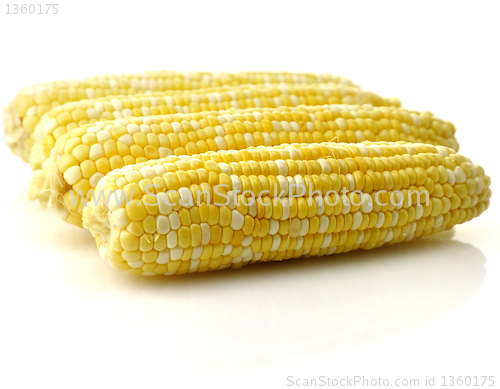 Image of fresh raw corn 