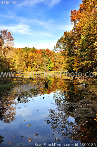 Image of autumn forest by the lake