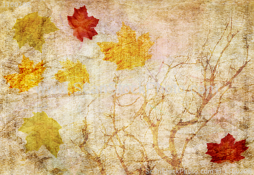 Image of grunge abstract fall  background 