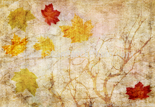 Image of grunge abstract fall  background 