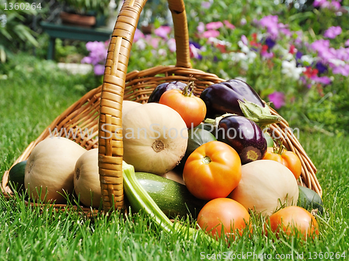 Image of fresh vegetables