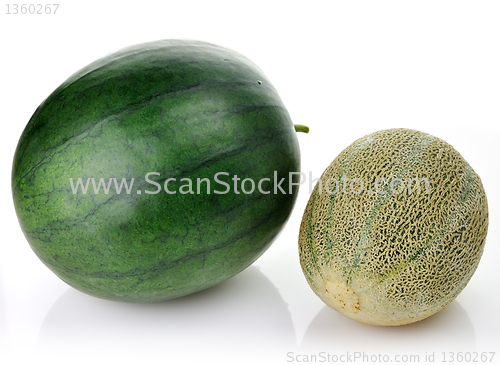 Image of melon and watermelon