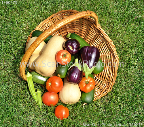 Image of fresh vegetables