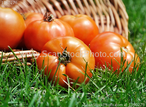 Image of tomatoes