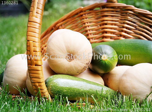 Image of fresh vegetables