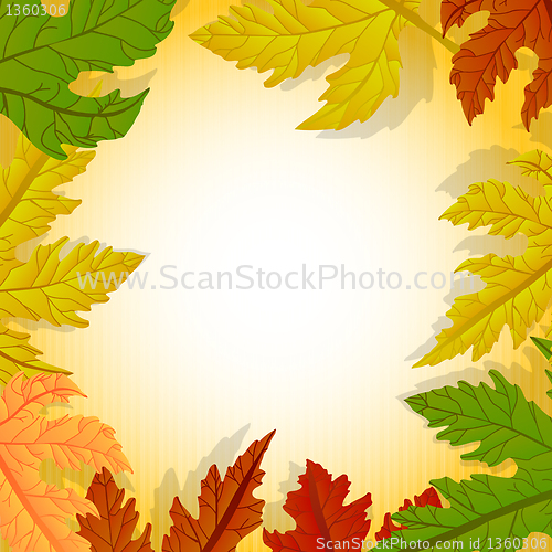 Image of Forest leaves frame