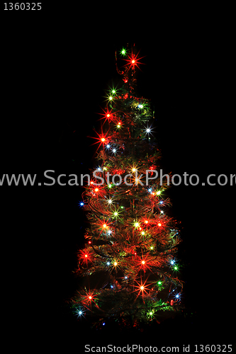 Image of christmas tree from the lights