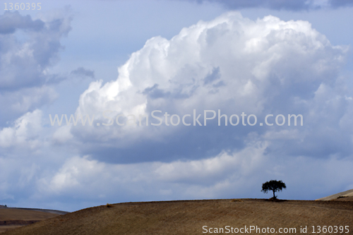 Image of Panoramic view of the hills of Gargano, Apulia,  Italy