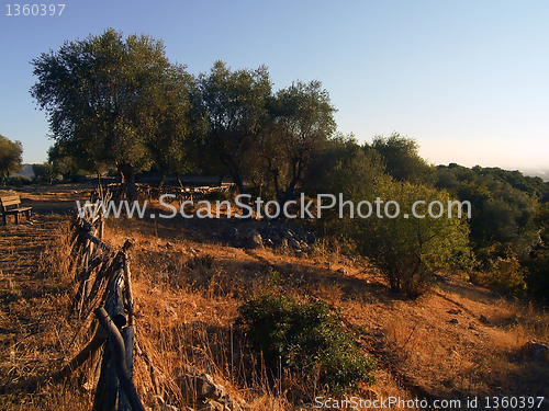 Image of Panoramic view of the hills of Gargano, Apulia,  Italy